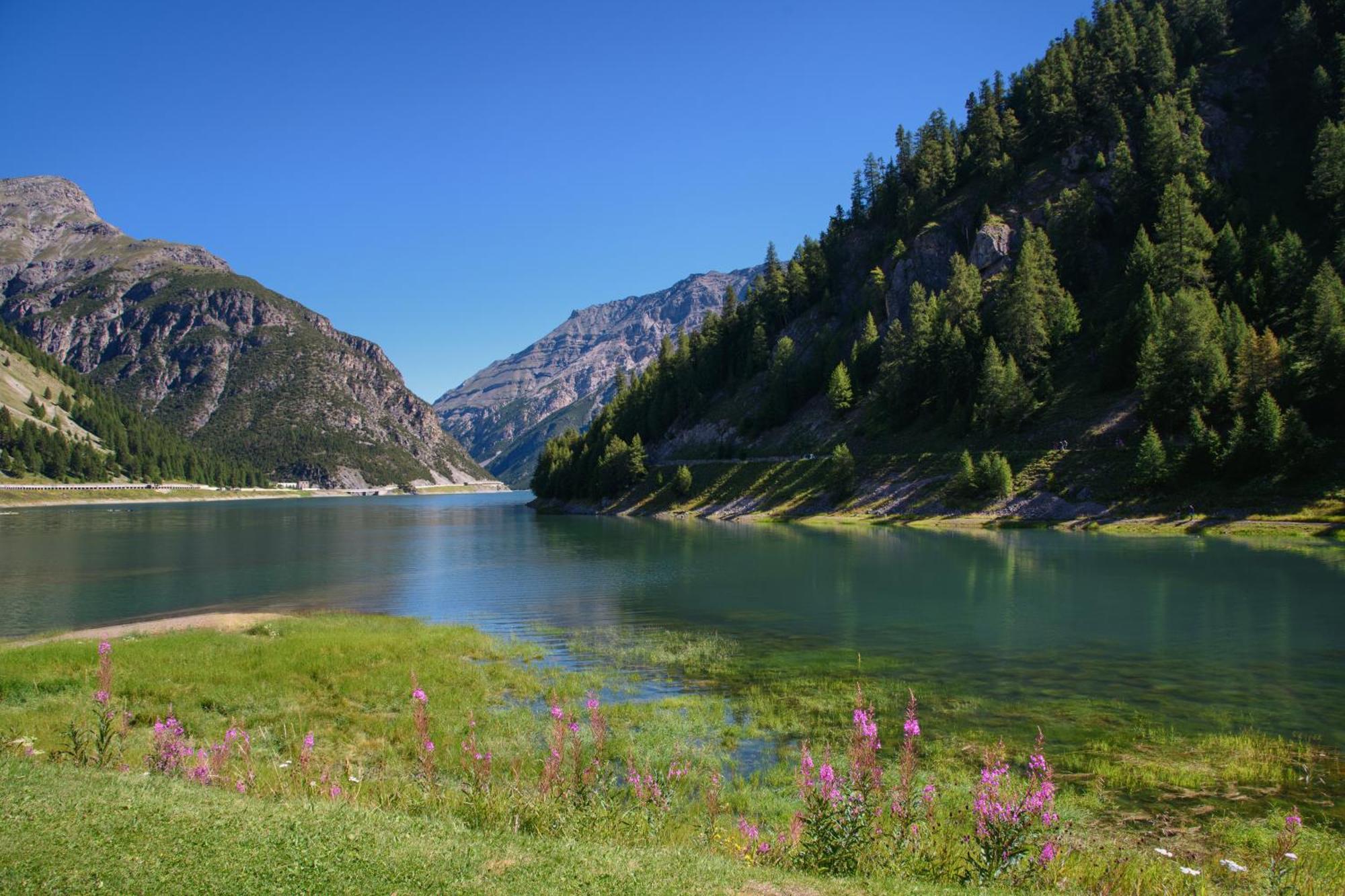 Campacc Appartamento Livigno
